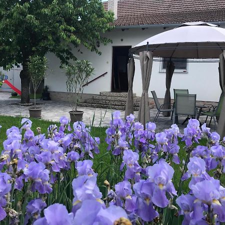 Eden Apartman Algyo Bagian luar foto