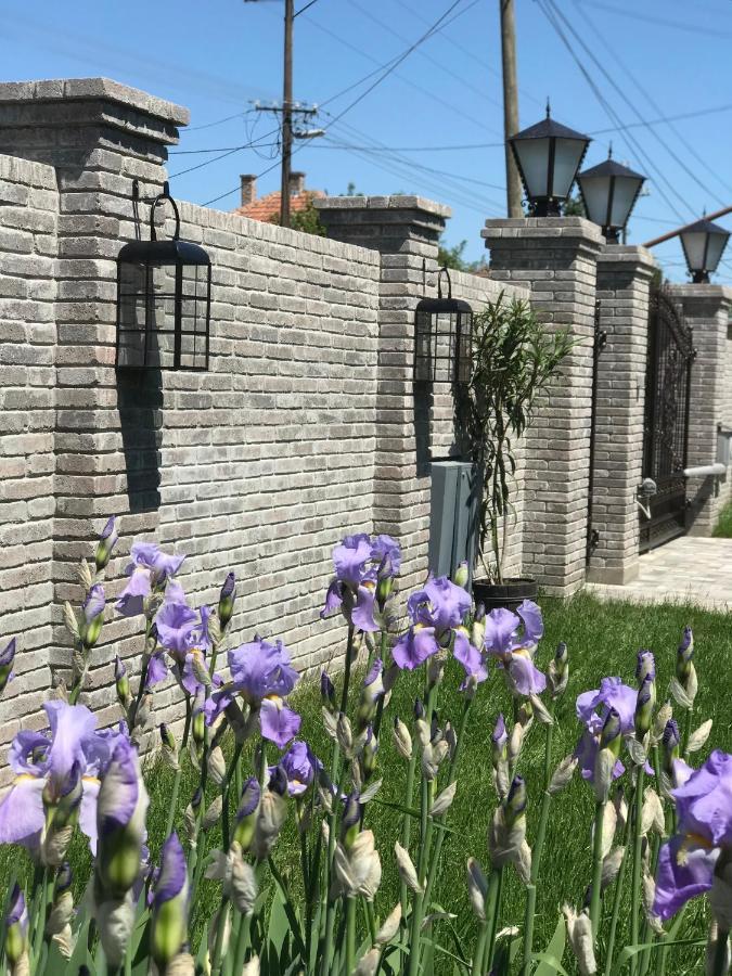 Eden Apartman Algyo Bagian luar foto