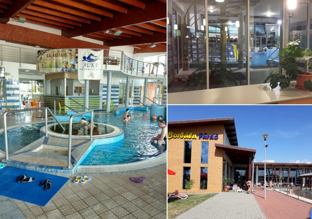 Eden Apartman Algyo Bagian luar foto